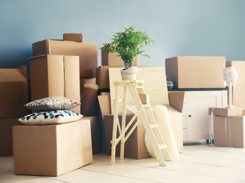 estate sale services for downsizing and packing boxes